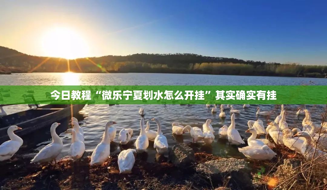 今日教程“微乐宁夏划水怎么开挂	”其实确实有挂