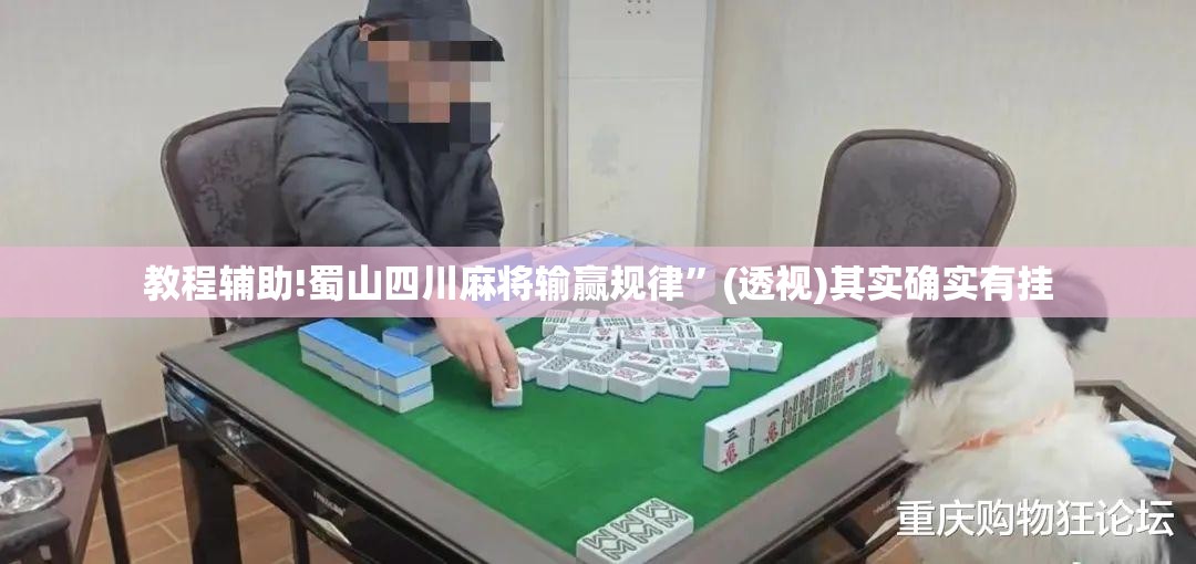 教程辅助!蜀山四川麻将输赢规律	”(透视)其实确实有挂