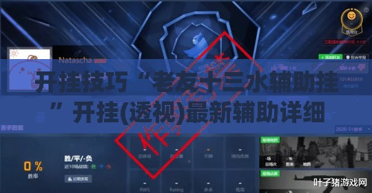 开挂技巧“老友十三水辅助挂”开挂(透视)最新辅助详细