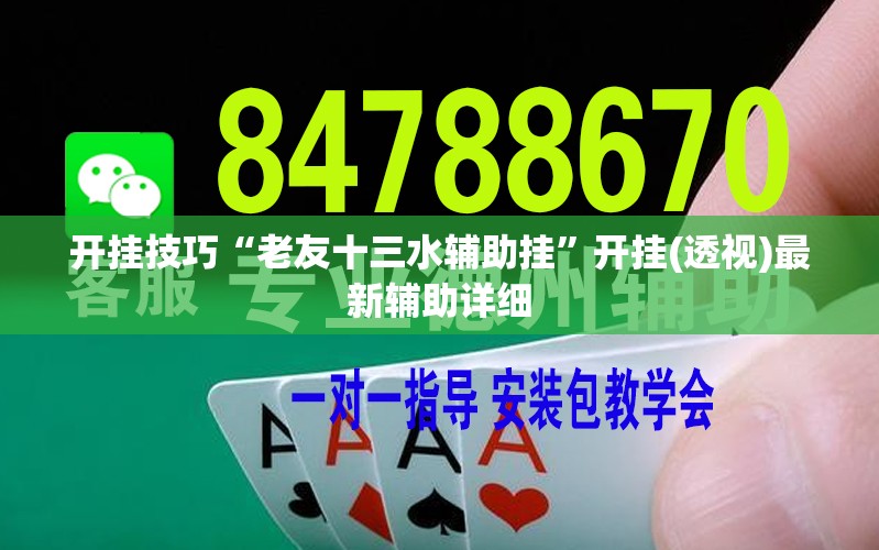 开挂技巧“老友十三水辅助挂”开挂(透视)最新辅助详细