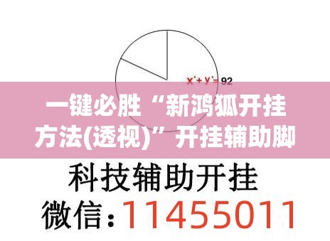 一键必胜“新鸿狐开挂方法(透视)	”开挂辅助脚本+详细开挂安装教程