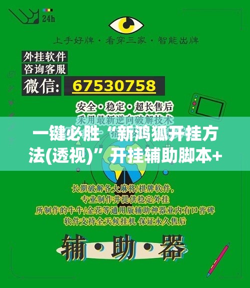 一键必胜“新鸿狐开挂方法(透视)”开挂辅助脚本+详细开挂安装教程