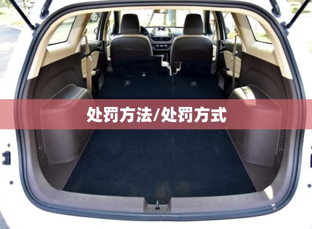 处罚方法/处罚方式 处罚方法/处罚方式