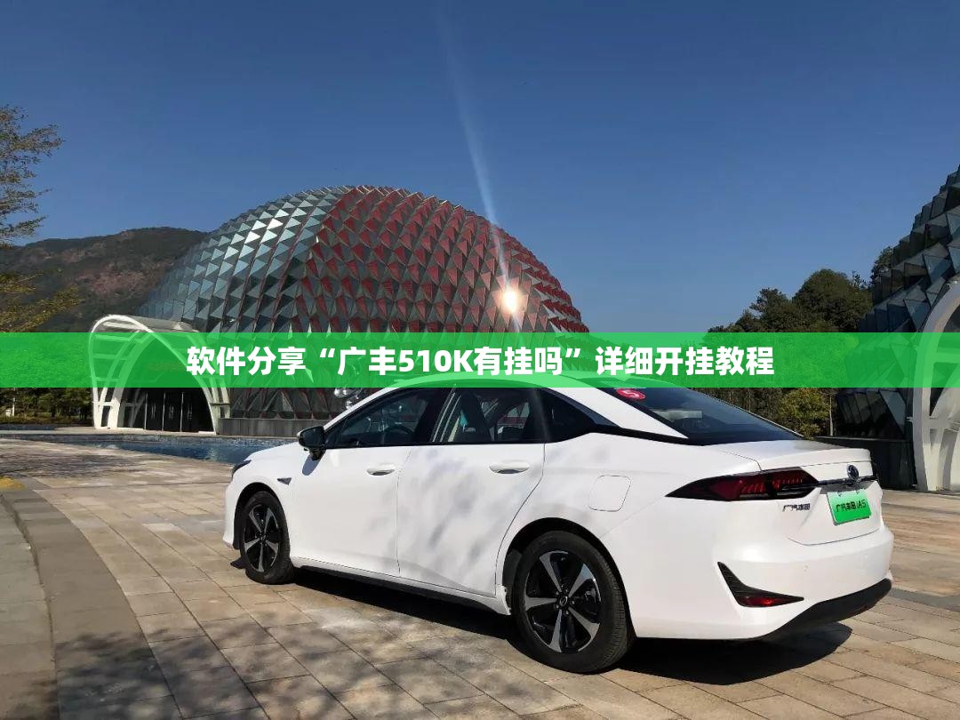 软件分享“广丰510K有挂吗	”详细开挂教程