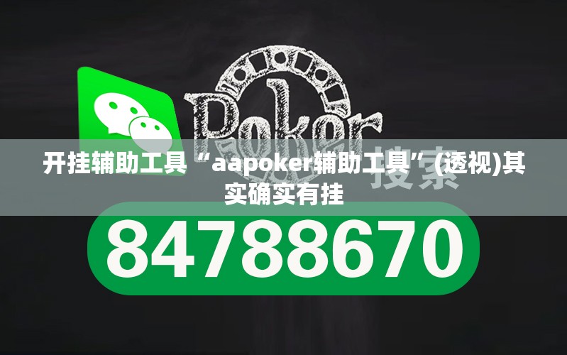 开挂辅助工具“aapoker辅助工具	”(透视)其实确实有挂