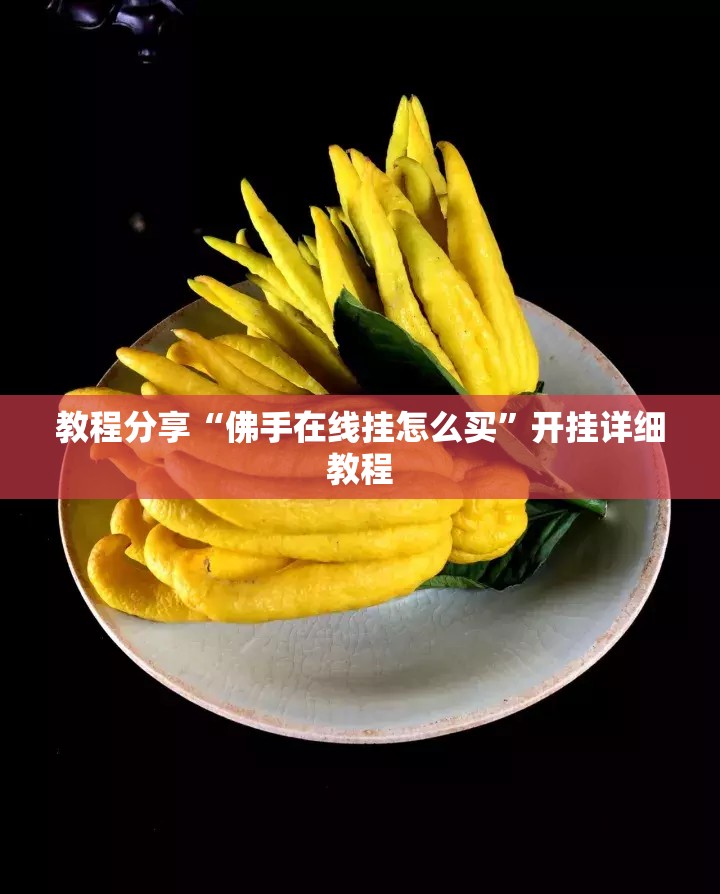 教程分享“佛手在线挂怎么买”开挂详细教程
