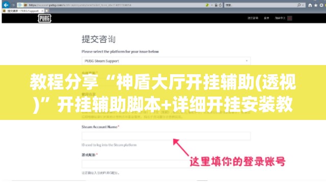 教程分享“神盾大厅开挂辅助(透视)	”开挂辅助脚本+详细开挂安装教程
