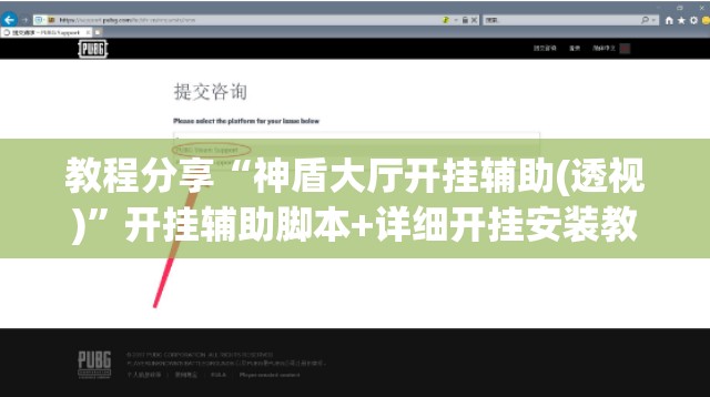 教程分享“神盾大厅开挂辅助(透视)”开挂辅助脚本+详细开挂安装教程