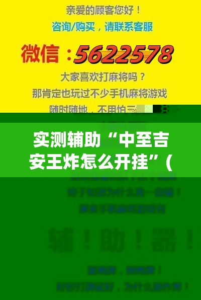 实测辅助“中至吉安王炸怎么开挂”(免费)开挂辅助教学(最新辅助开挂教程)