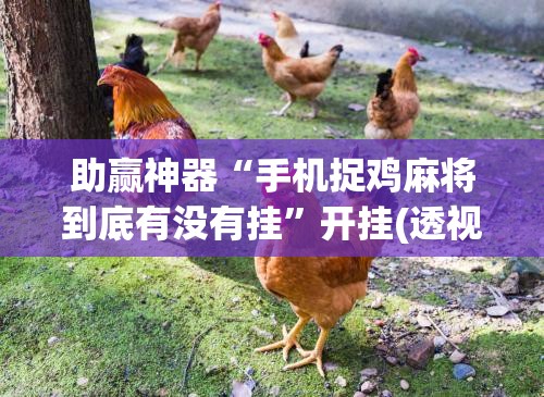 助赢神器“手机捉鸡麻将到底有没有挂	”开挂(透视)辅助神器