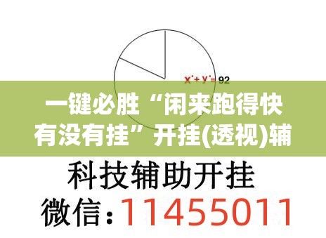 一键必胜“闲来跑得快有没有挂”开挂(透视)辅助教程