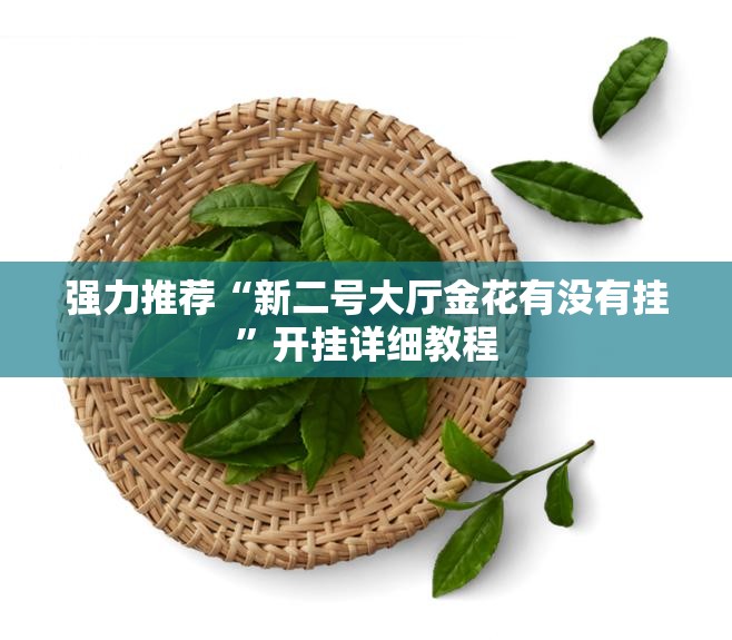 强力推荐“新二号大厅金花有没有挂”开挂详细教程