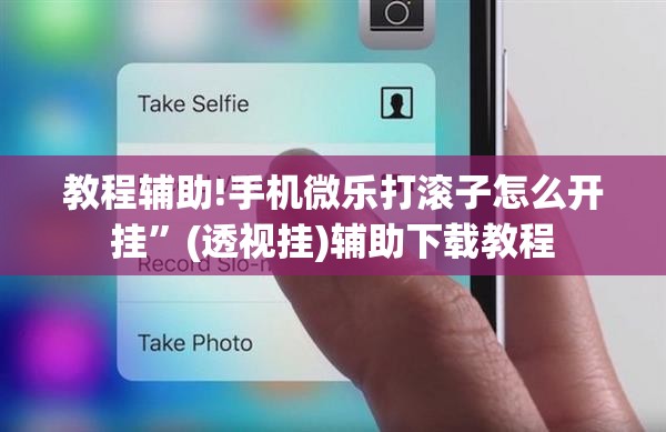 教程辅助!手机微乐打滚子怎么开挂	”(透视挂)辅助下载教程