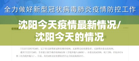 沈阳今天疫情最新情况/沈阳今天的情况