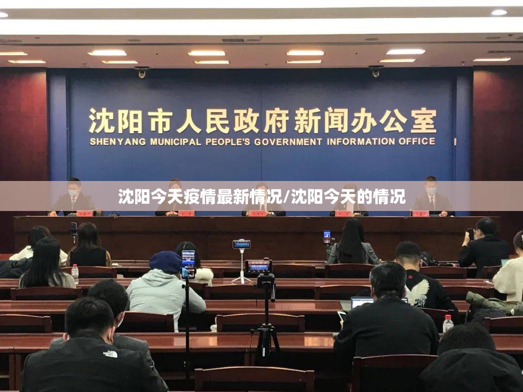 沈阳今天疫情最新情况/沈阳今天的情况