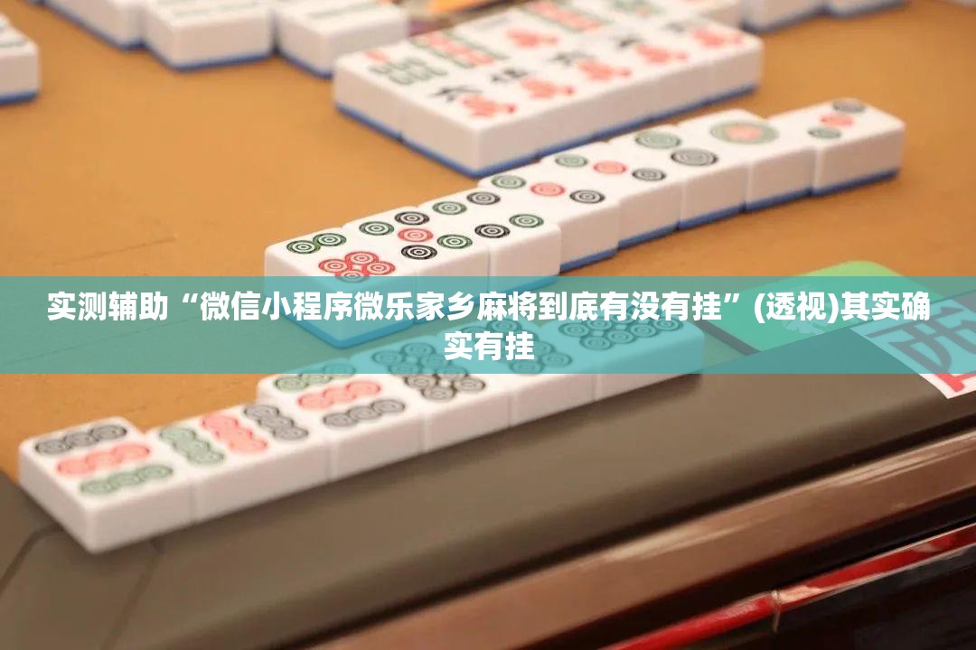 实测辅助“微信小程序微乐家乡麻将到底有没有挂	”(透视)其实确实有挂