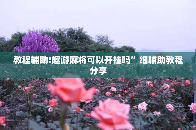 教程辅助!趣游麻将可以开挂吗”细辅助教程分享