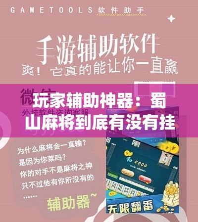 玩家辅助神器：蜀山麻将到底有没有挂	”(辅助神器)开挂详细教程