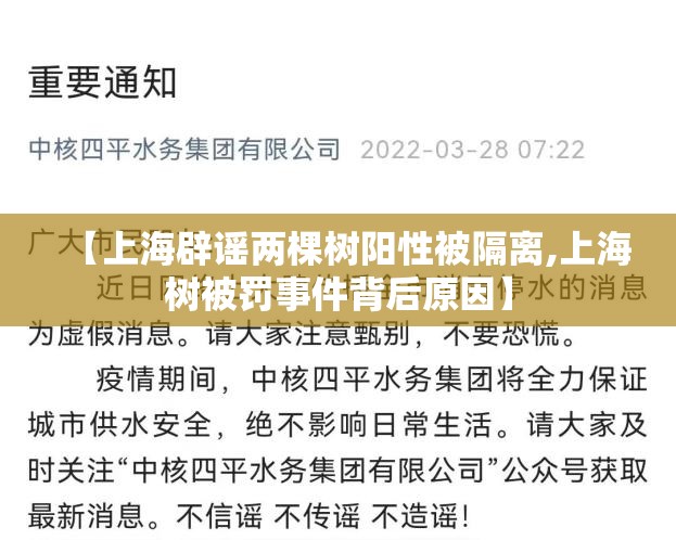 【上海辟谣两棵树阳性被隔离,上海树被罚事件背后原因】 【上海辟谣两棵树阳性被隔离,上海树被罚事件背后原因】