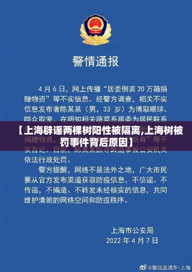 【上海辟谣两棵树阳性被隔离,上海树被罚事件背后原因】 【上海辟谣两棵树阳性被隔离,上海树被罚事件背后原因】