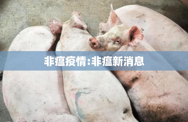 非瘟疫情:非瘟新消息 非瘟疫情:非瘟新消息