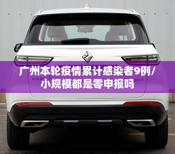 广州本轮疫情累计感染者9例/小规模都是零申报吗