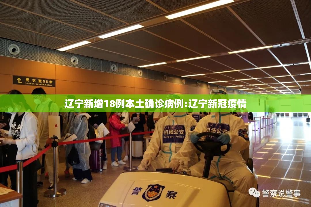 辽宁新增18例本土确诊病例:辽宁新冠疫情