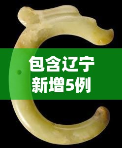 包含辽宁新增5例本土确诊病例的词条 包含辽宁新增5例本土确诊病例的词条