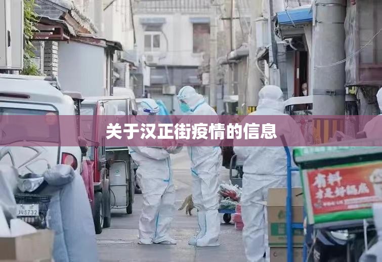 关于汉正街疫情的信息 关于汉正街疫情的信息