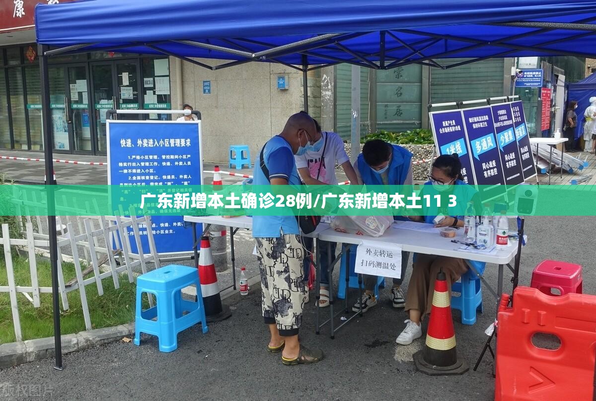 广东新增本土确诊28例/广东新增本土11 3 广东新增本土确诊28例/广东新增本土11 3