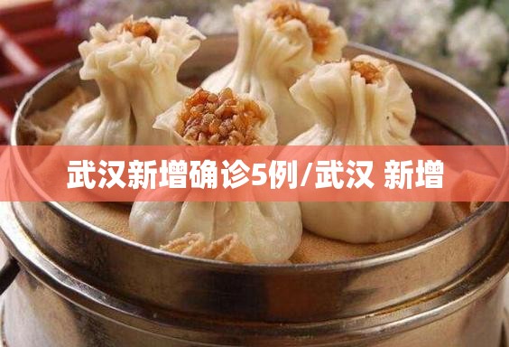 武汉新增确诊5例/武汉 新增