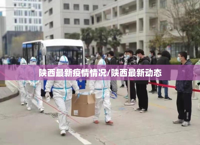 陕西最新疫情情况/陕西最新动态 陕西最新疫情情况/陕西最新动态