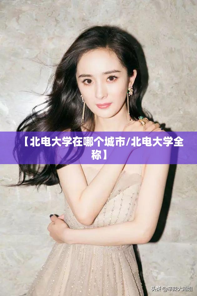 【北电大学在哪个城市/北电大学全称】