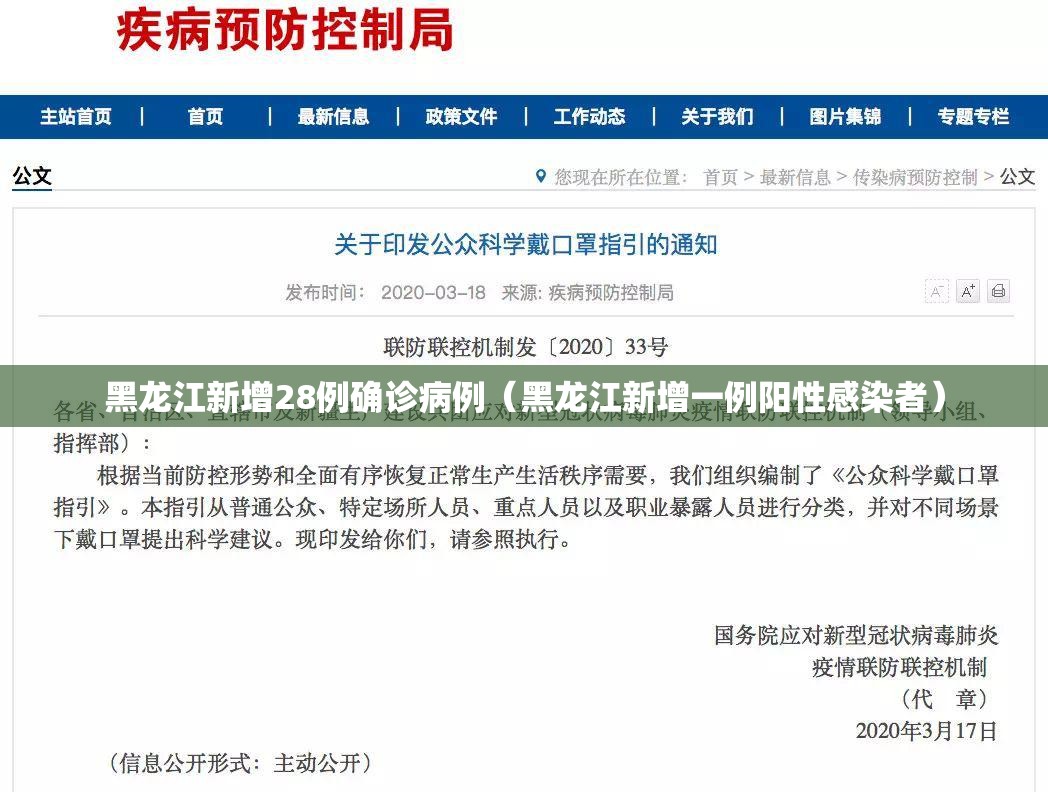 黑龙江新增28例确诊病例(黑龙江新增一例阳性感染者) 黑龙江新增28例确诊病例(黑龙江新增一例阳性感染者)