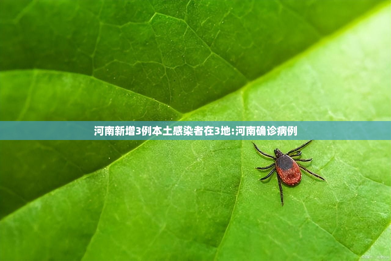 河南新增3例本土感染者在3地:河南确诊病例