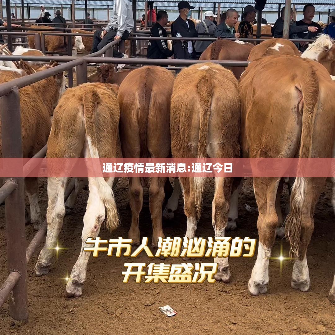通辽疫情最新消息:通辽今日
