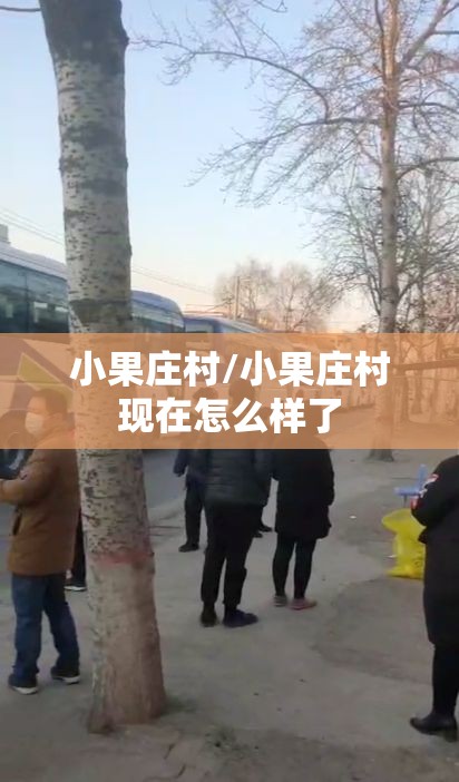 小果庄村/小果庄村现在怎么样了 小果庄村/小果庄村现在怎么样了