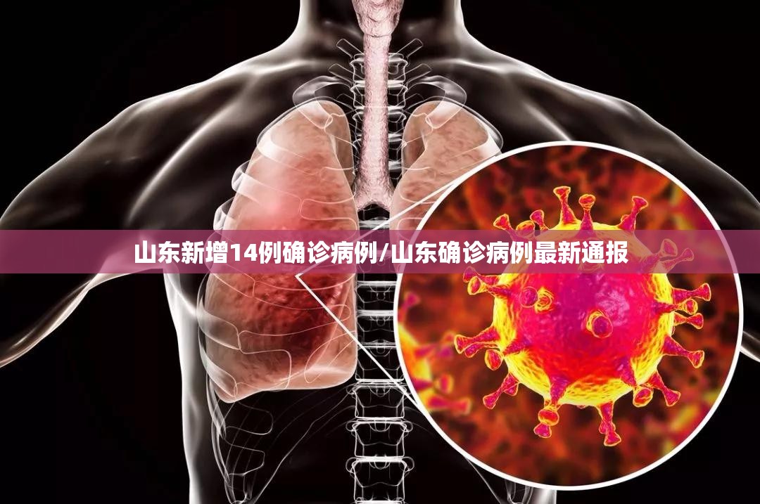 山东新增14例确诊病例/山东确诊病例最新通报