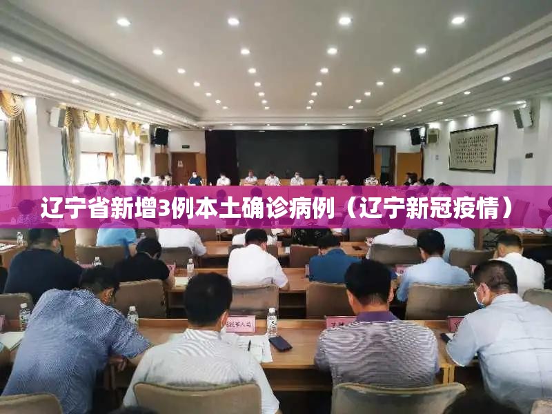 辽宁省新增3例本土确诊病例(辽宁新冠疫情) 辽宁省新增3例本土确诊病例(辽宁新冠疫情)