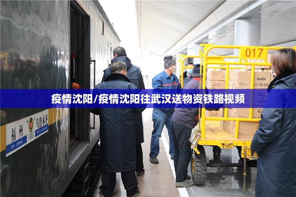 疫情沈阳/疫情沈阳往武汉送物资铁路视频 疫情沈阳/疫情沈阳往武汉送物资铁路视频