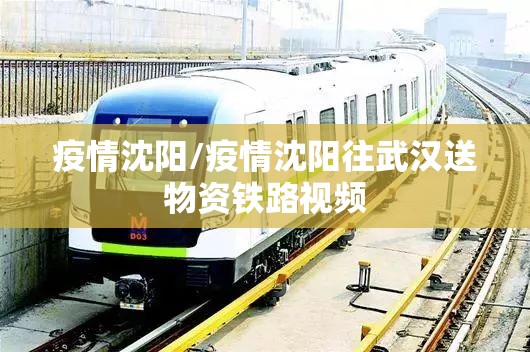 疫情沈阳/疫情沈阳往武汉送物资铁路视频 疫情沈阳/疫情沈阳往武汉送物资铁路视频