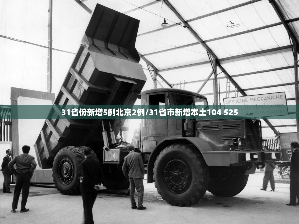 31省份新增5例北京2例/31省市新增本土104 525 31省份新增5例北京2例/31省市新增本土104 525