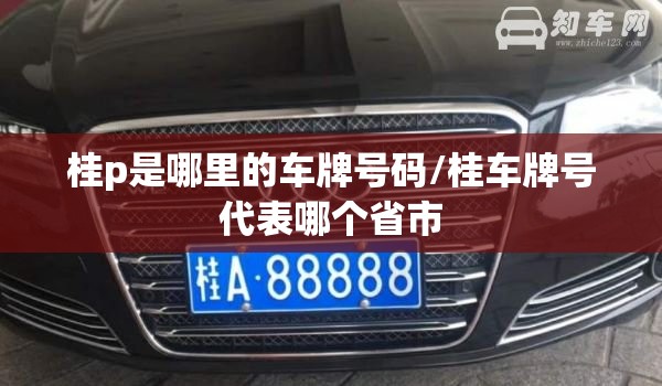 桂p是哪里的车牌号码/桂车牌号代表哪个省市