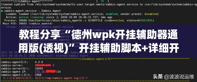 教程分享“德州wpk开挂辅助器通用版(透视)	”开挂辅助脚本+详细开挂安装教程