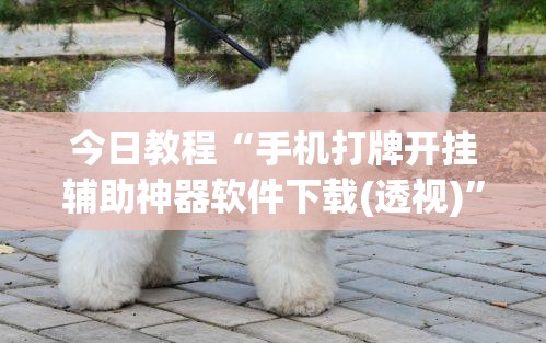 今日教程“手机打牌开挂辅助神器软件下载(透视)”开挂辅助脚本+详细开挂安装教程