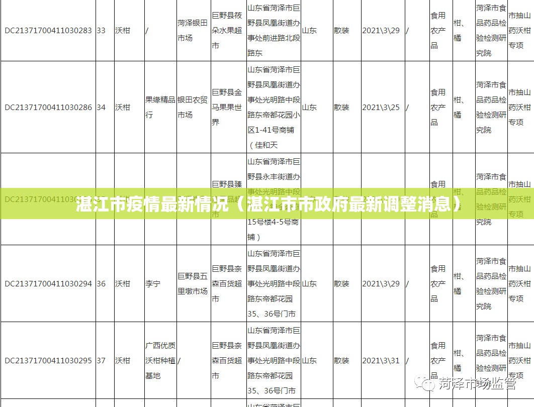 湛江市疫情最新情况（湛江市市政府最新调整消息）