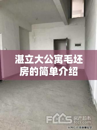 湛立大公寓毛坯房的简单介绍 湛立大公寓毛坯房的简单介绍