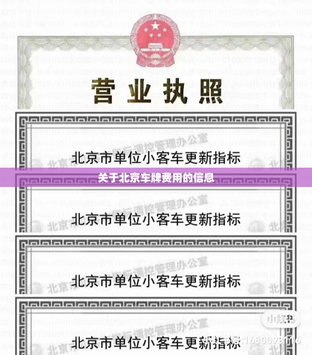 关于北京车牌费用的信息 关于北京车牌费用的信息