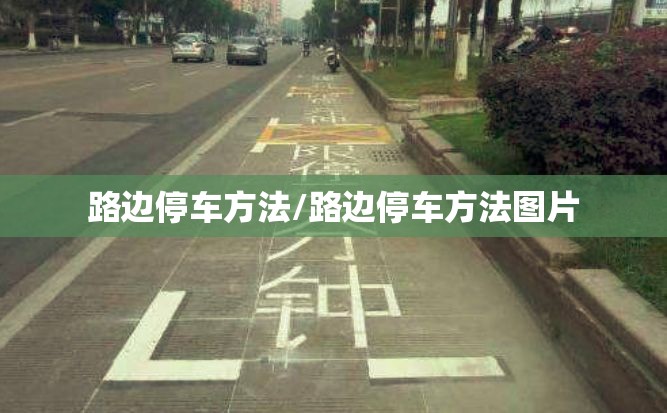 路边停车方法/路边停车方法图片