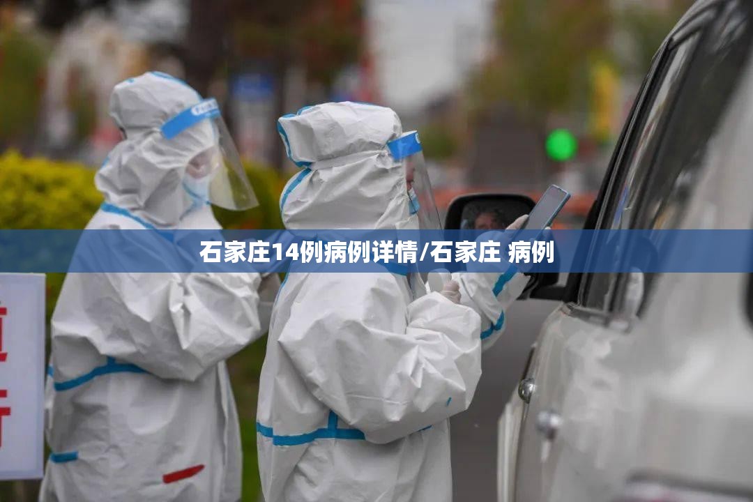 石家庄14例病例详情/石家庄 病例 石家庄14例病例详情/石家庄 病例